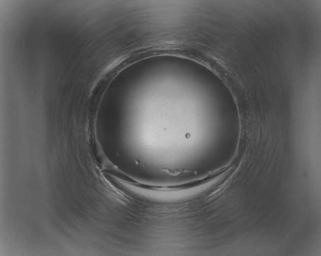 X0000067481402200604211621