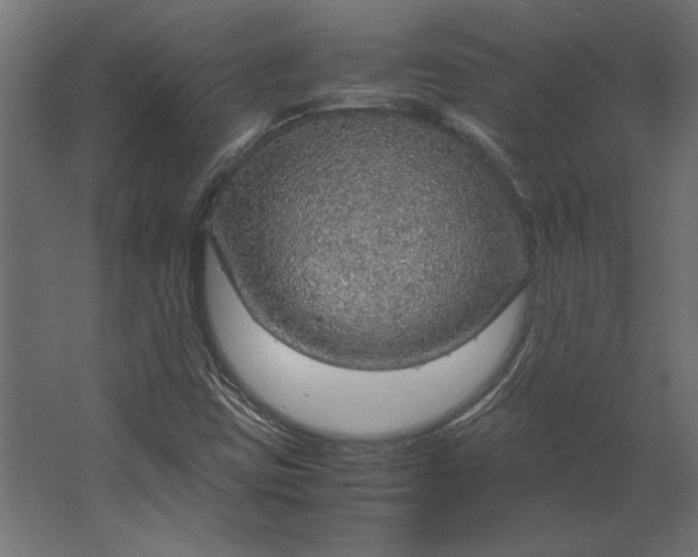 X0000067481403200604211621