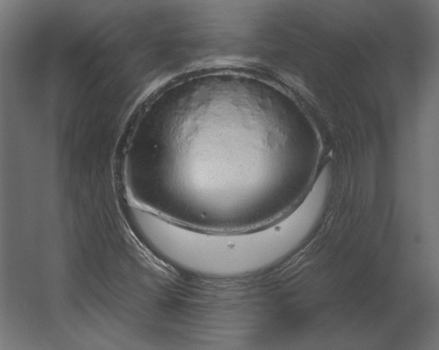 X0000067481404200604211621