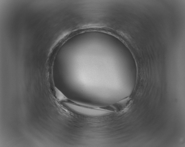 X0000067481406200604211621