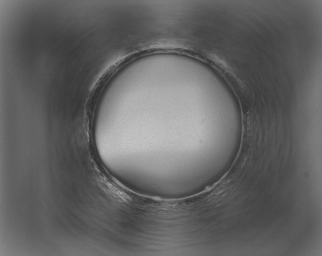 X0000067481408200604211621