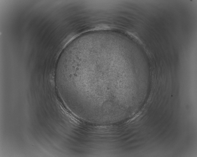 X0000067481409200604211621