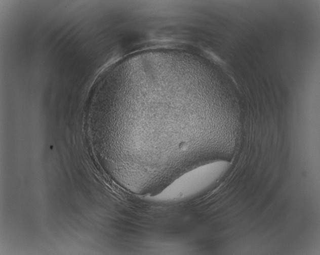 X0000067481411200604211621