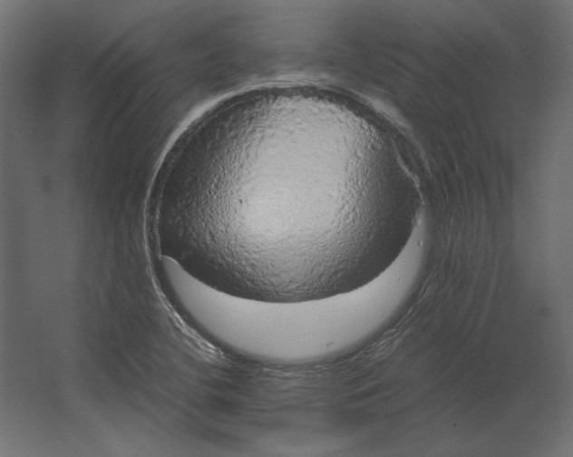 X0000067481412200604211621