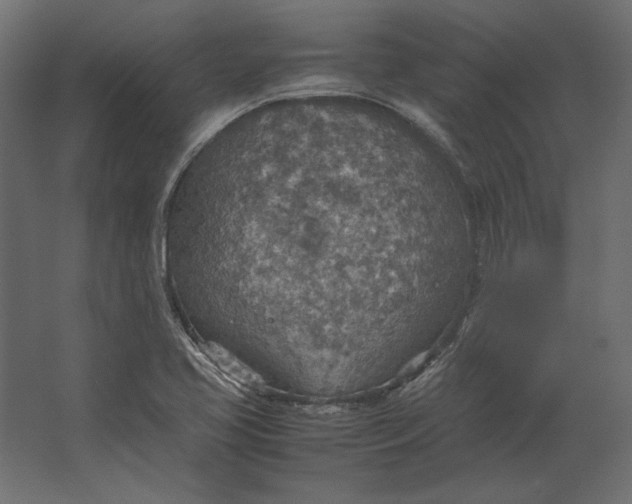 X0000067481413200604211621