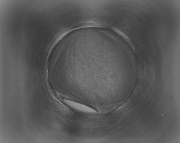 X0000067481415200604211621