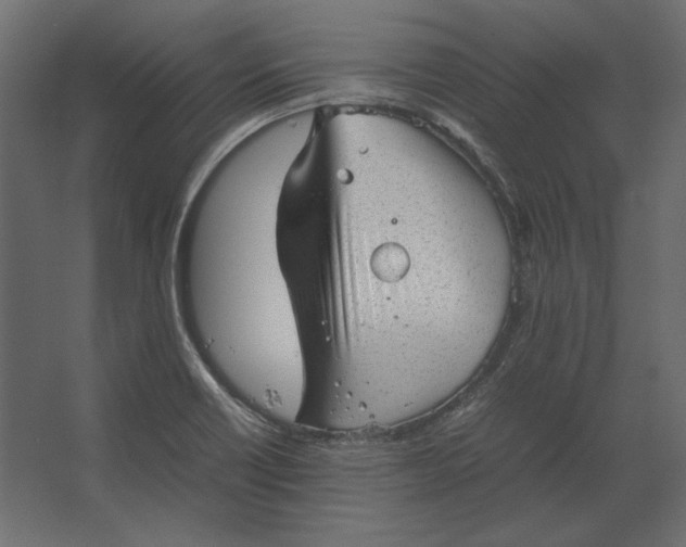 X0000067481418200604211621