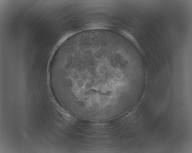 X0000067481419200604211621