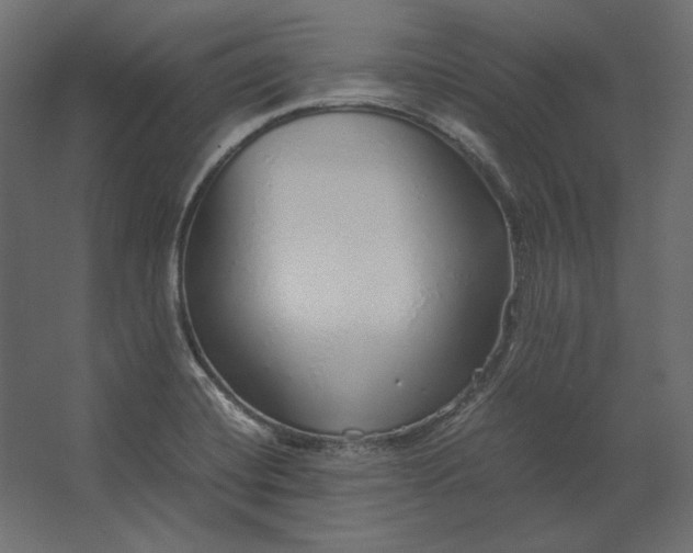 X0000067481420200604211621