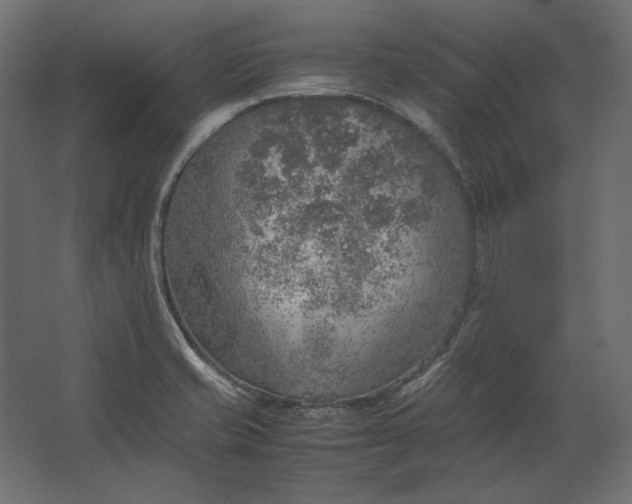 X0000067481421200604211621