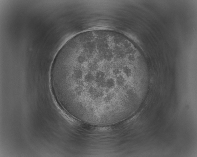 X0000067481423200604211621