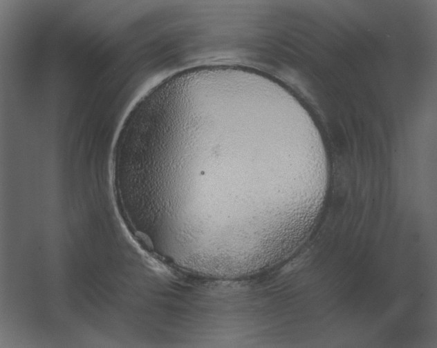 X0000067481424200604211621