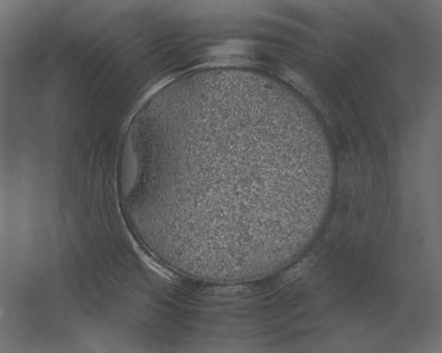 X0000067481425200604211621