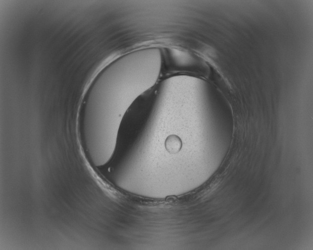 X0000067481426200604211621