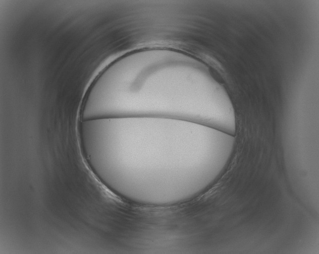 X0000067481428200604211621