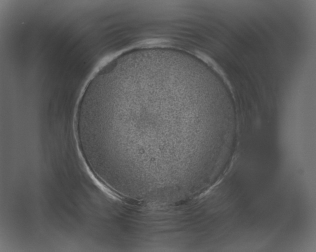 X0000067481429200604211621