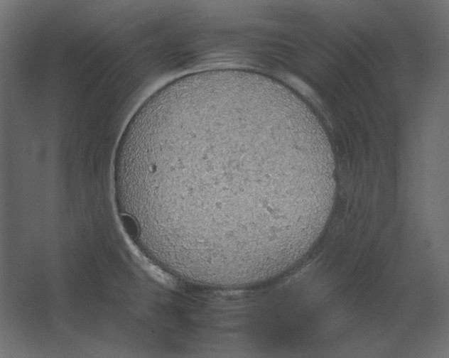 X0000067481431200604211621