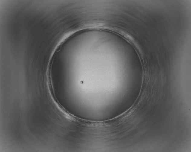 X0000067481432200604211621