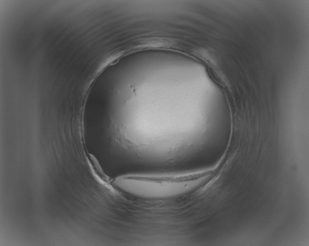 X0000067481433200604211621