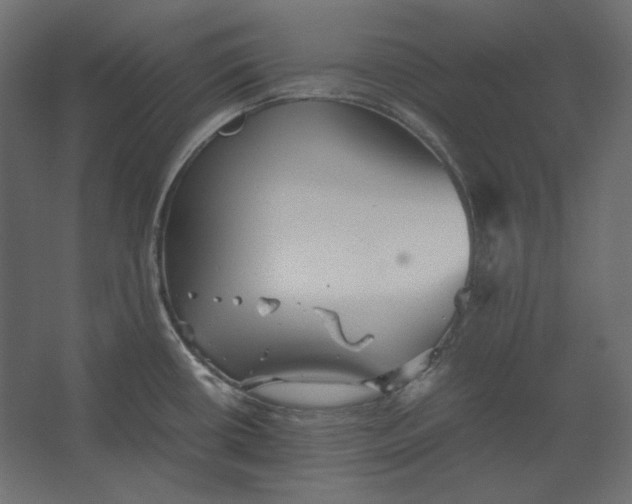 X0000067481434200604211621