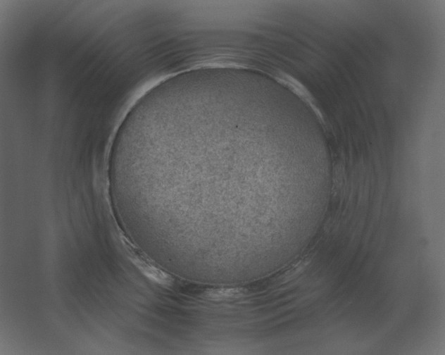 X0000067481435200604211621