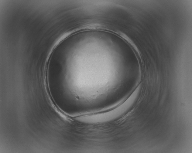 X0000067481437200604211621