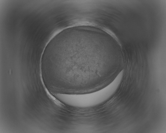 X0000067481439200604211621