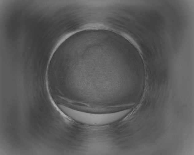 X0000067481440200604211621