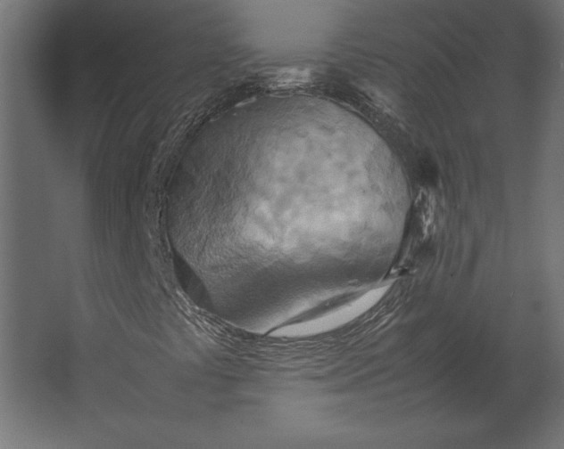 X0000067481441200604211621