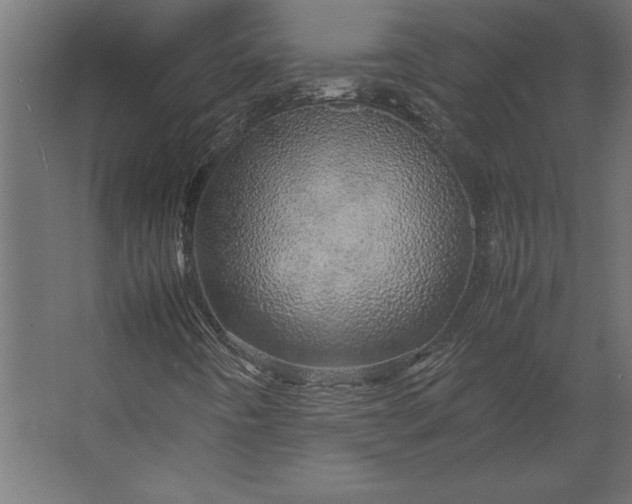 X0000067481442200604211621