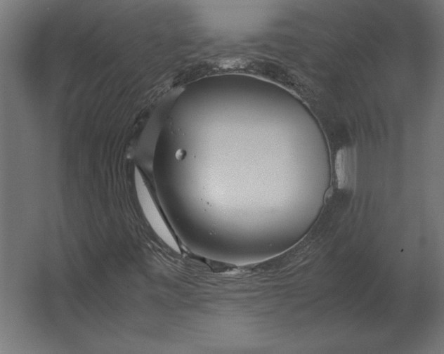 X0000067481443200604211621