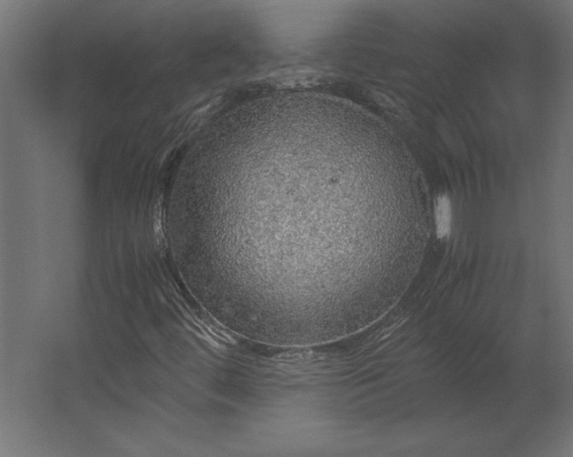 X0000067481444200604211621