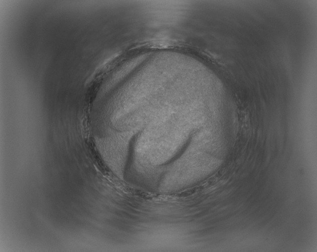 X0000067481446200604211620