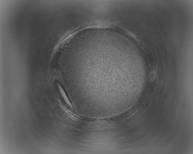 X0000067481448200604211620