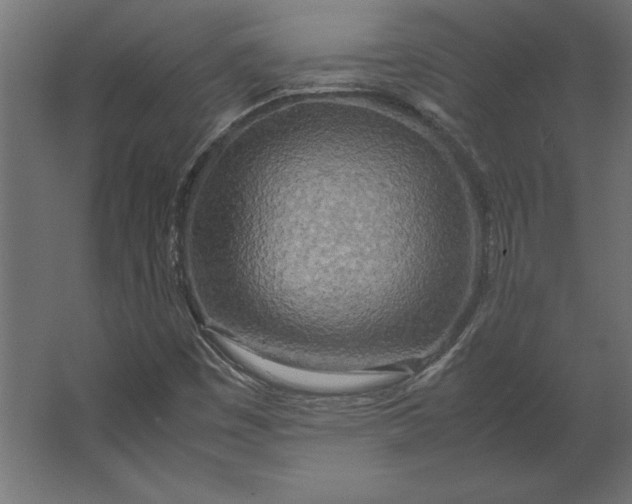 X0000067481449200604211620