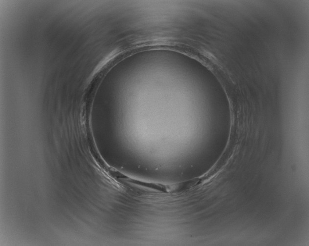 X0000067481450200604211620