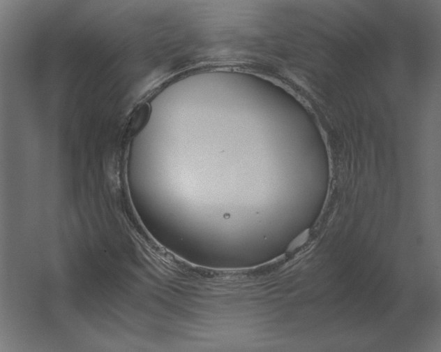 X0000067481451200604211620