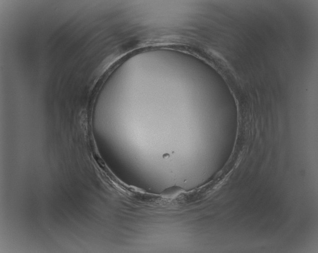 X0000067481457200604211620