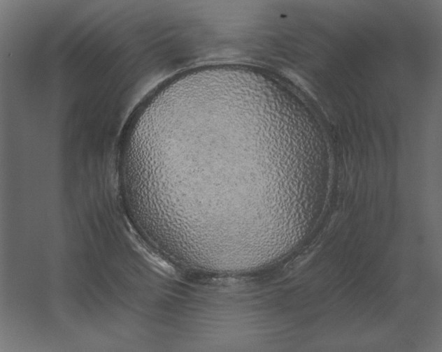 X0000067481458200604211620