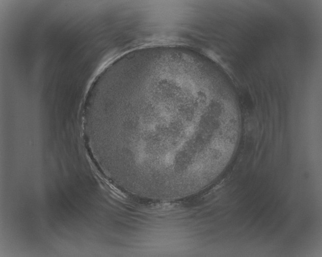 X0000067481459200604211620