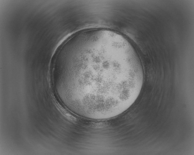 X0000067481460200604211620