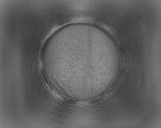 X0000067481462200604211620