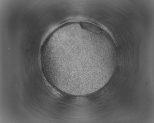 X0000067481464200604211620