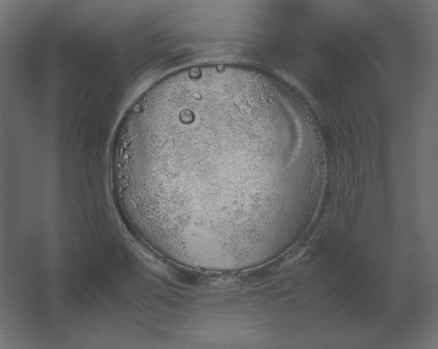 X0000067481467200604211620