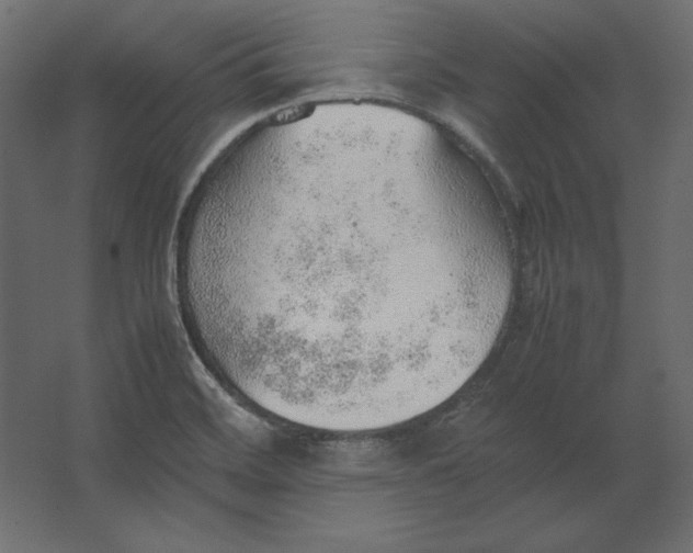 X0000067481468200604211620