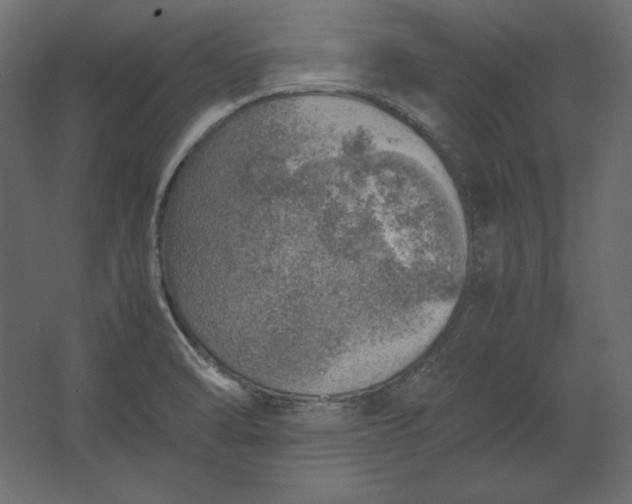 X0000067481470200604211620