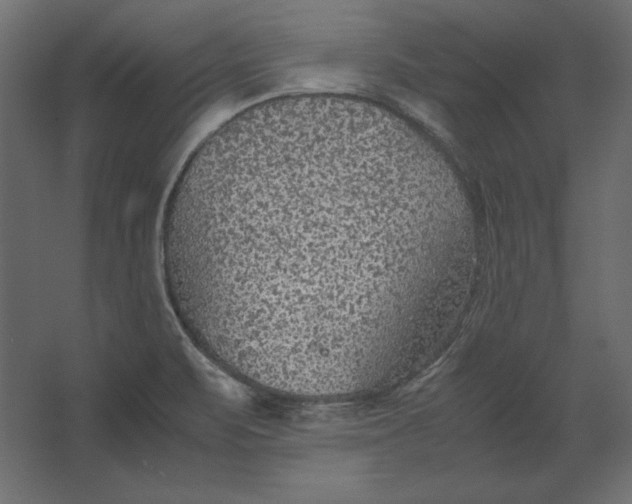 X0000067481471200604211620