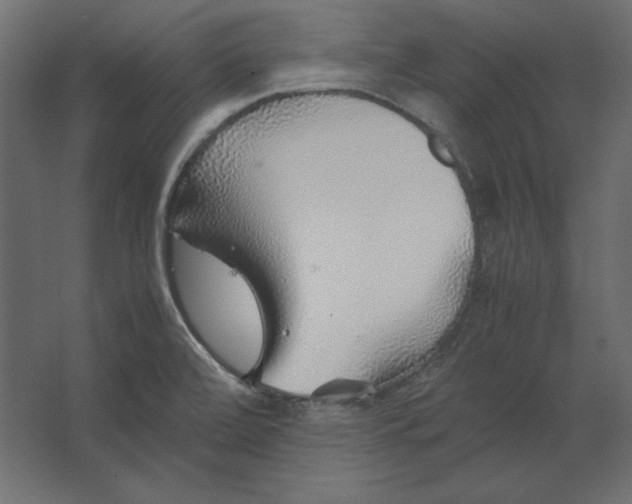 X0000067481472200604211620