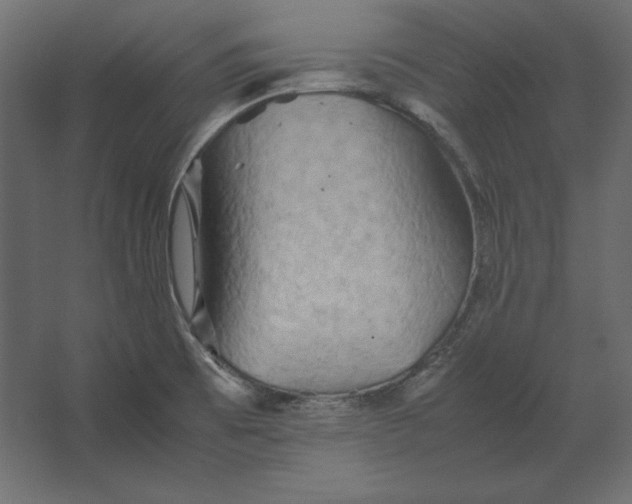 X0000067481473200604211620