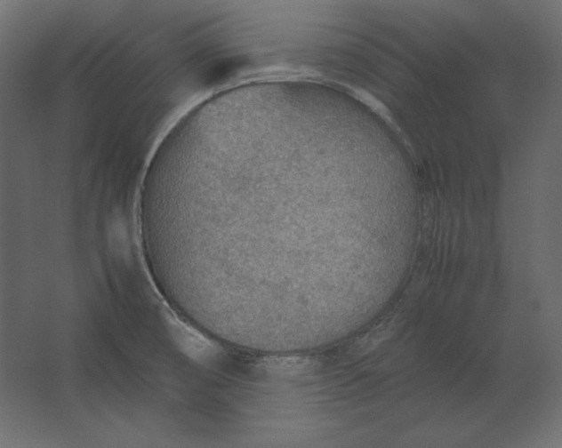 X0000067481474200604211620